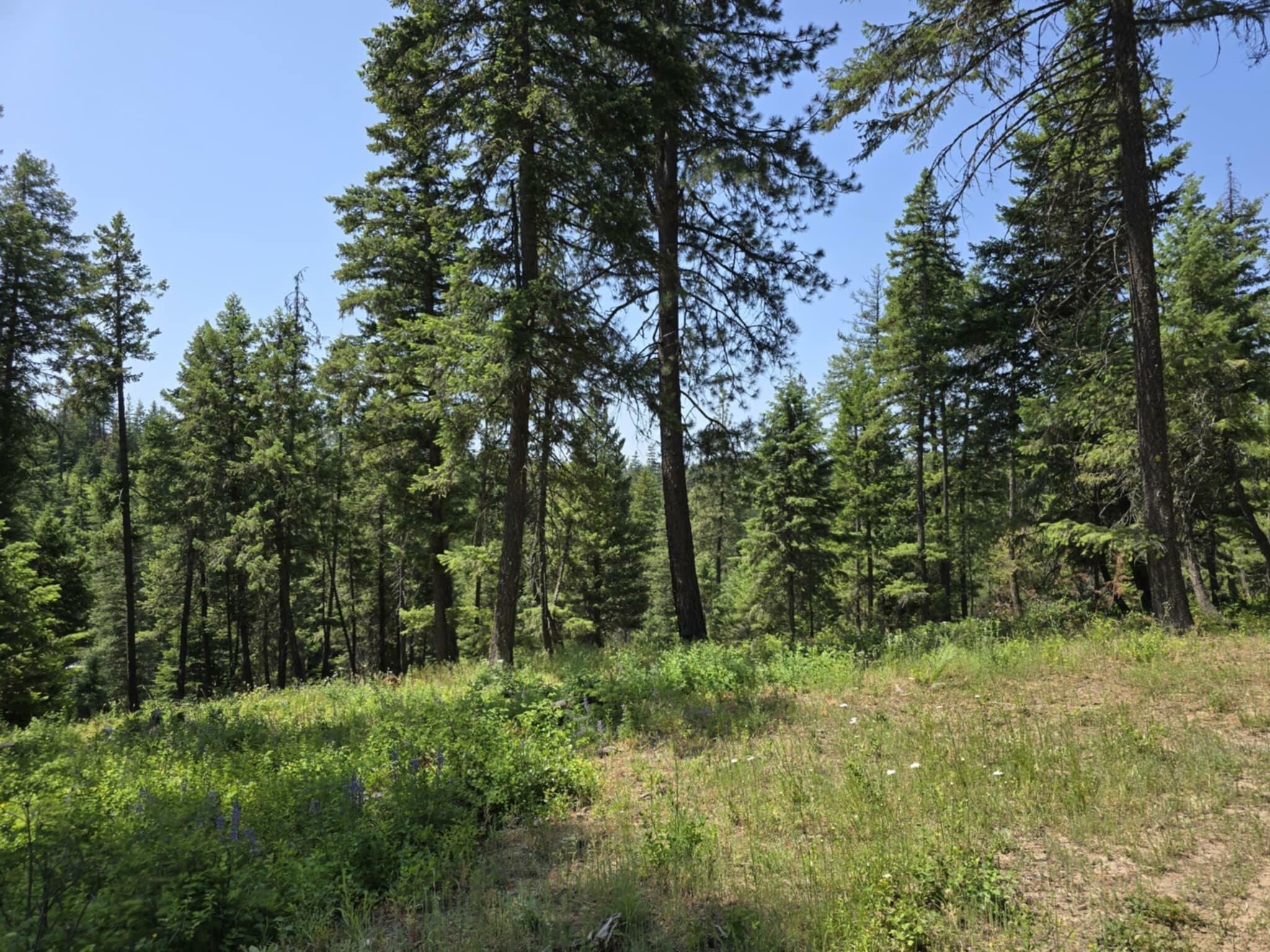 Property Photo: 4886 Getna Way WA 99173