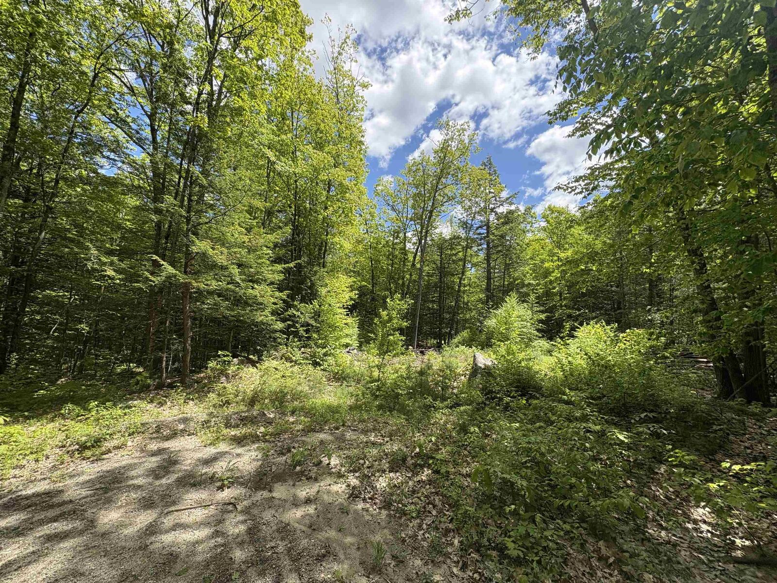 Property Photo: Craig Road NH 03440