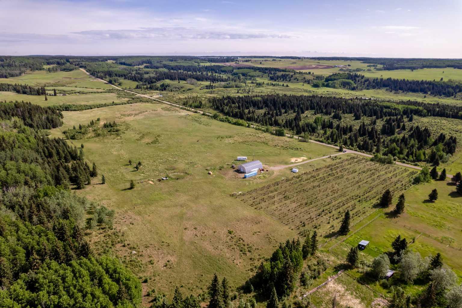 80 Acres Range Road 53  Rural Rocky View County AB T4C 2W1 photo