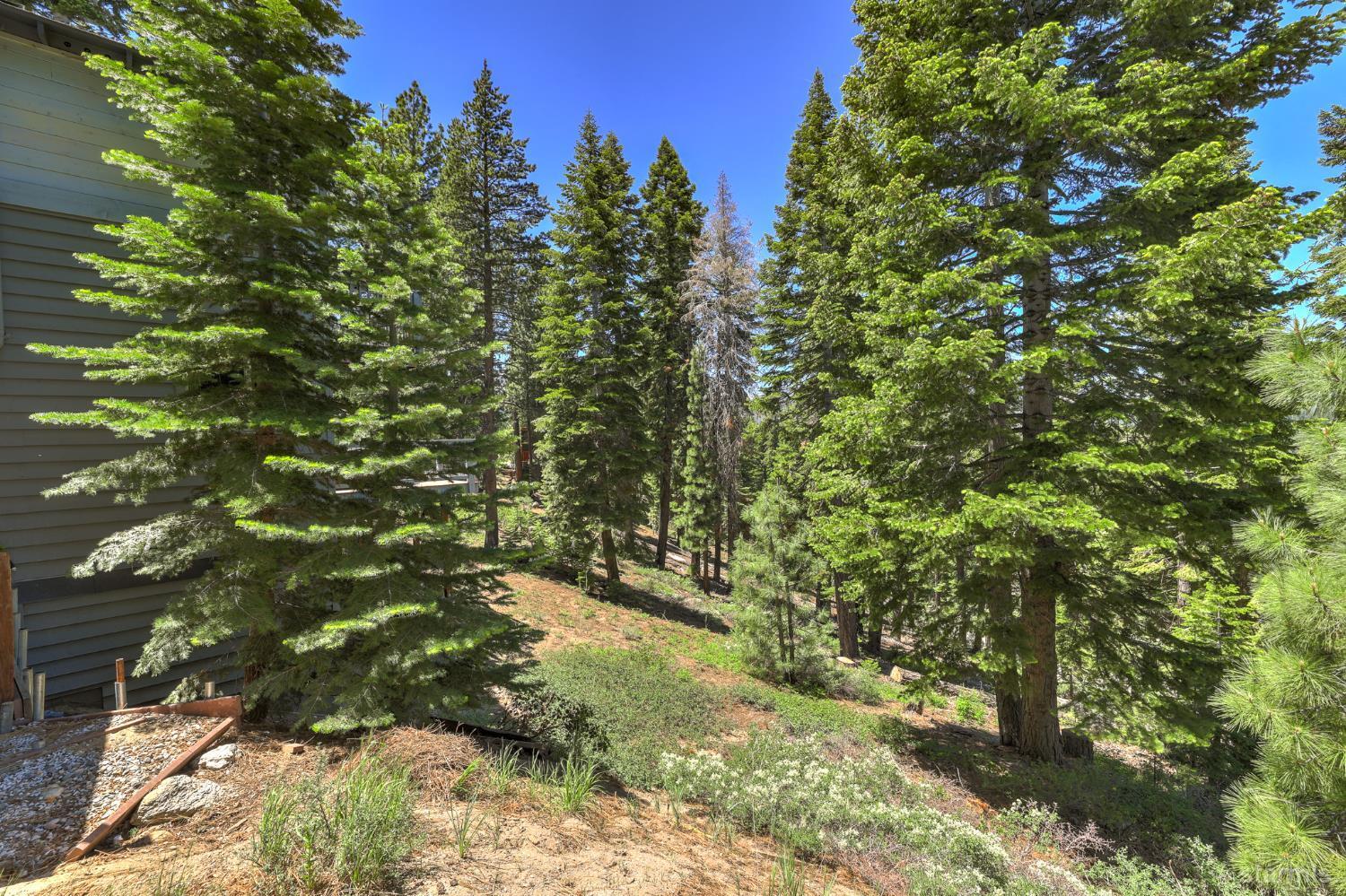 Property Photo:  1740 Skyline Drive  CA 96150 