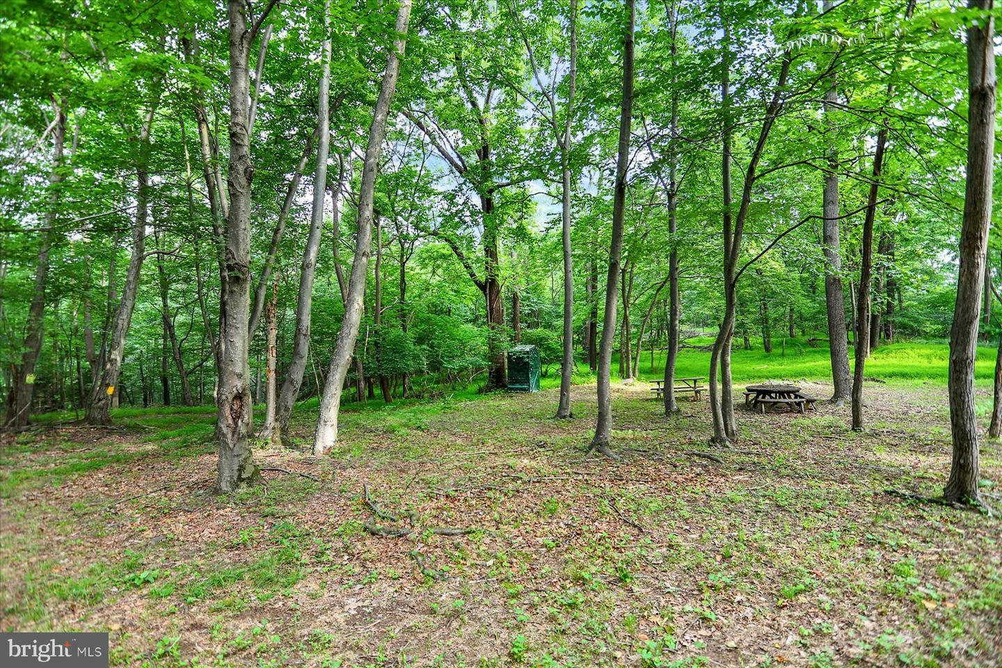 Property Photo: 0 Shull Hill Road PA 17074