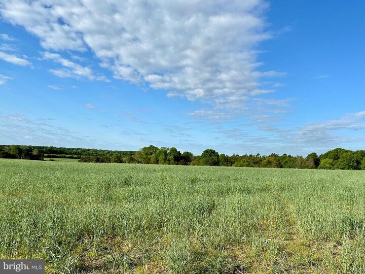 Property Photo: Lot 9 Zachary Taylor Hwy VA 22567