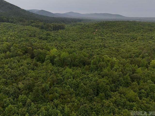 Property Photo: Unk Polk Road 72 AR 71953