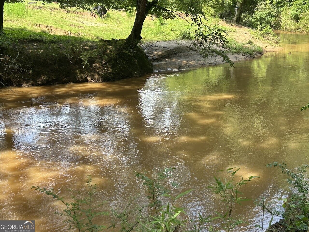 Property Photo: 370 Butler Road GA 30108