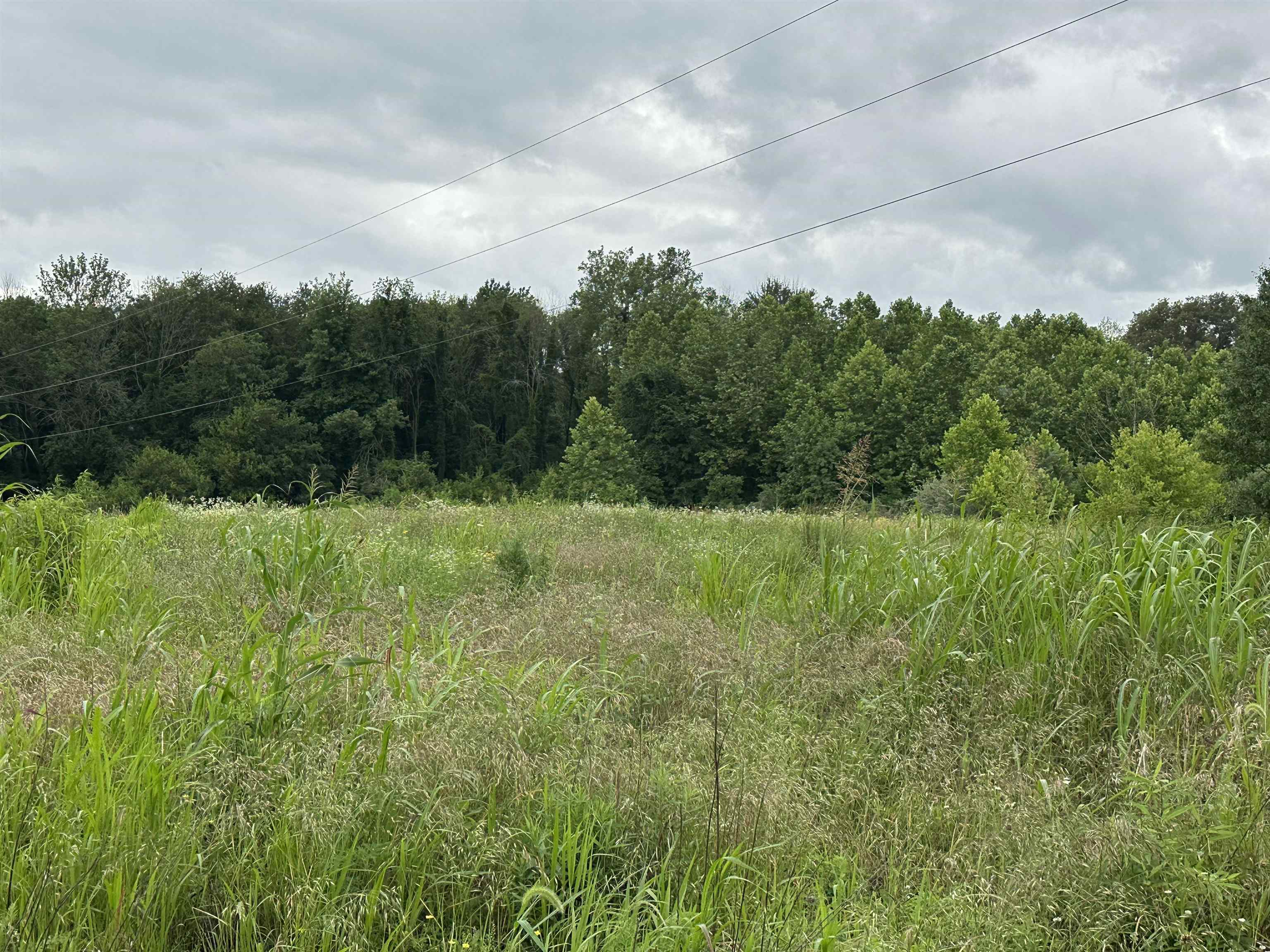 Property Photo: 14766 Griffin Graves Creek Rd IN 42420