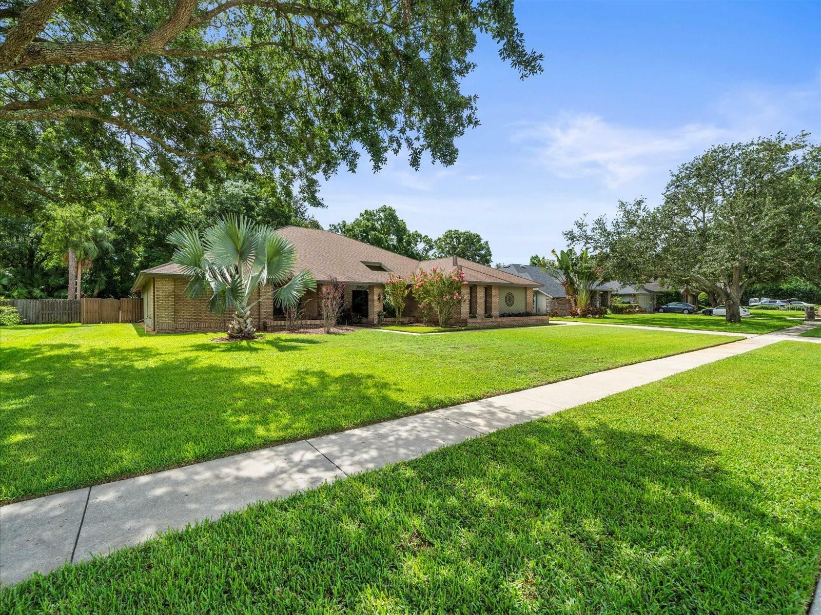 Property Photo: 3305 Westmoreland Drive FL 33618