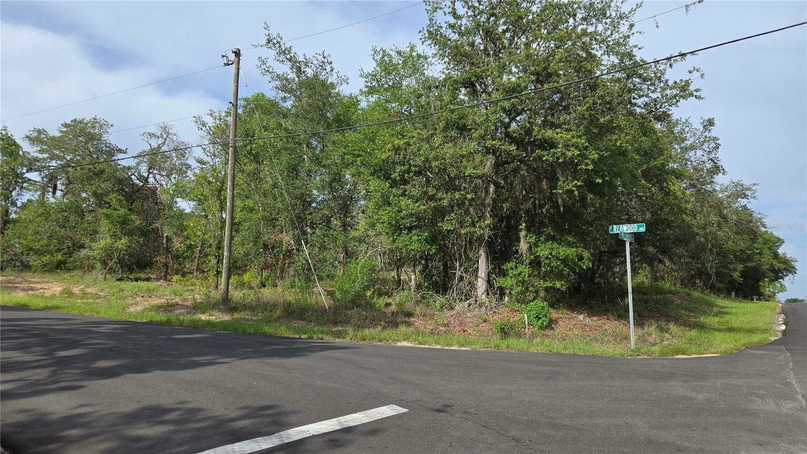 Property Photo:  4771 N Redwood Avenue  FL 34442 