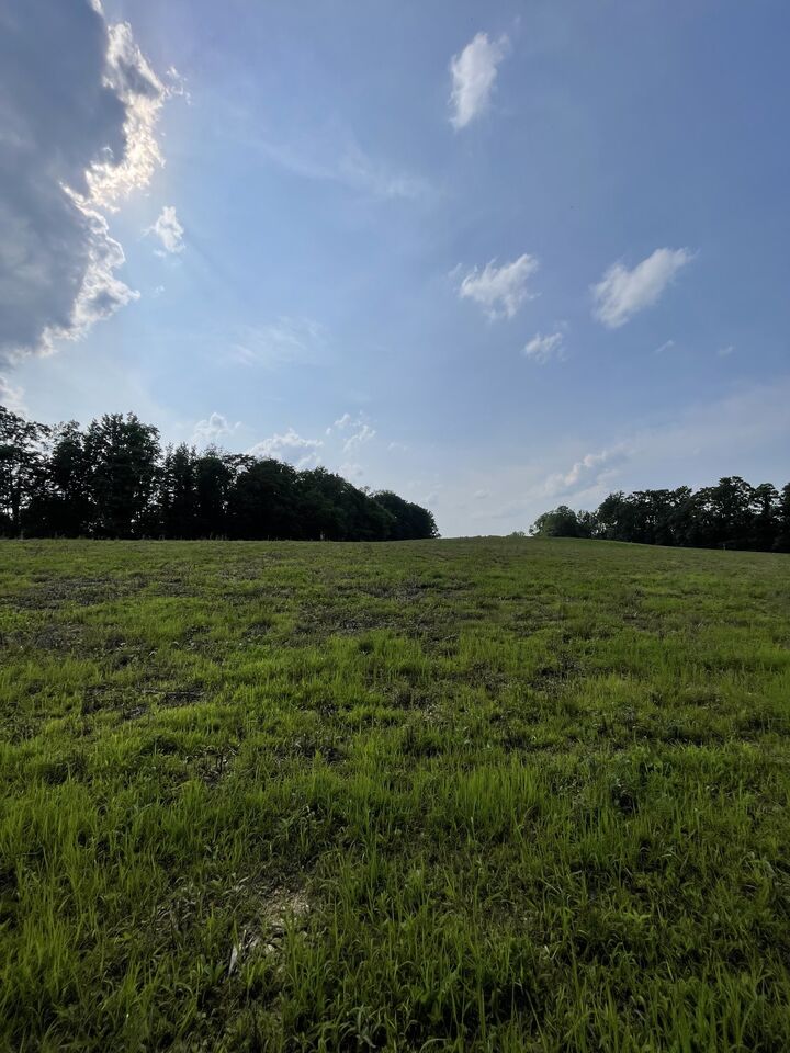 Property Photo:  9 Annie Hollow Road  TN 37186 