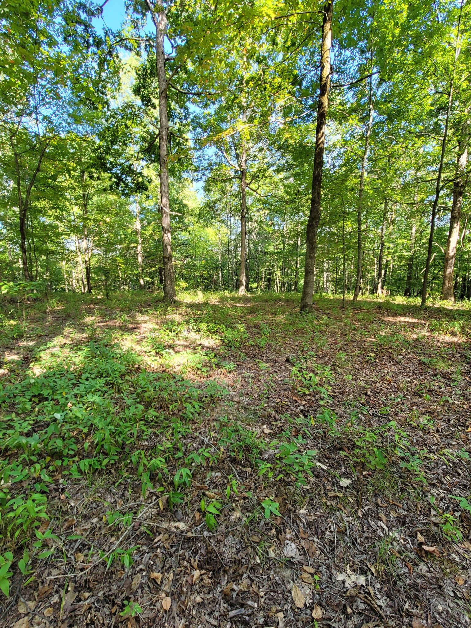 Property Photo:  0 Teal Hollow Rd  TN 37348 