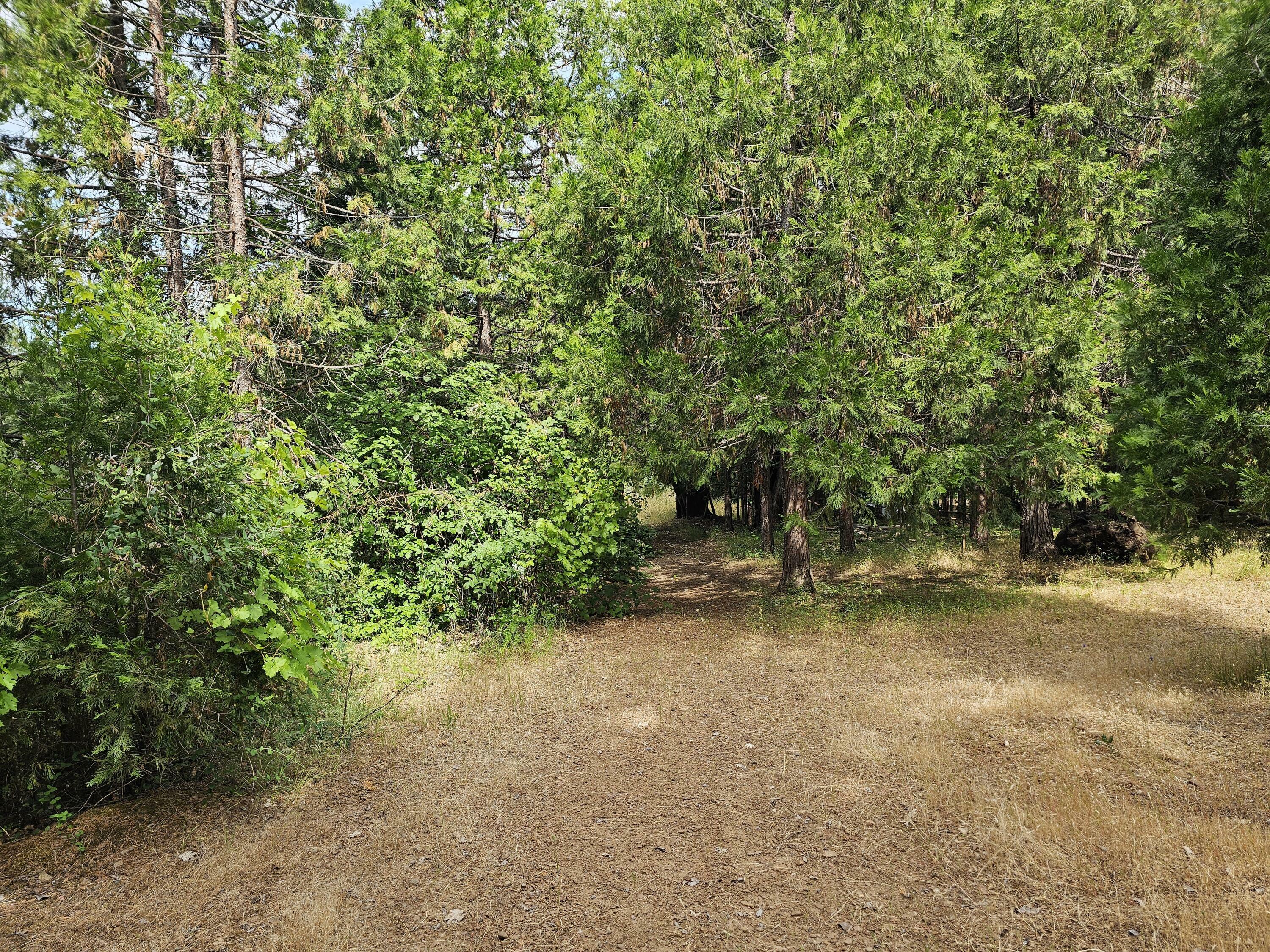 Property Photo: 5274 Cloverlawn Drive OR 97527