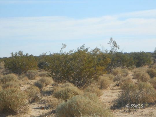 Property Photo:  341-160-49 Dolphin In Inyokern  CA 93527 