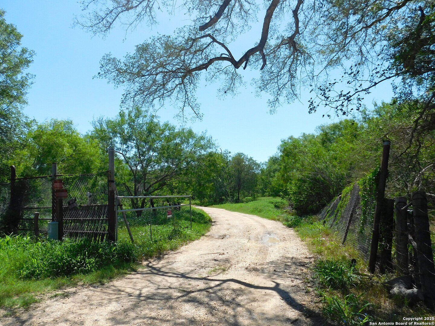 Property Photo: 1590 McCauley Rd TX 78114