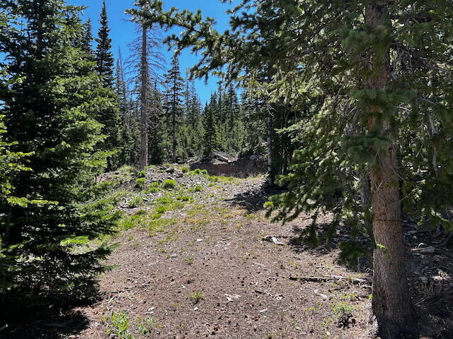 Property Photo: 115 S Olympic Dr UT 84719