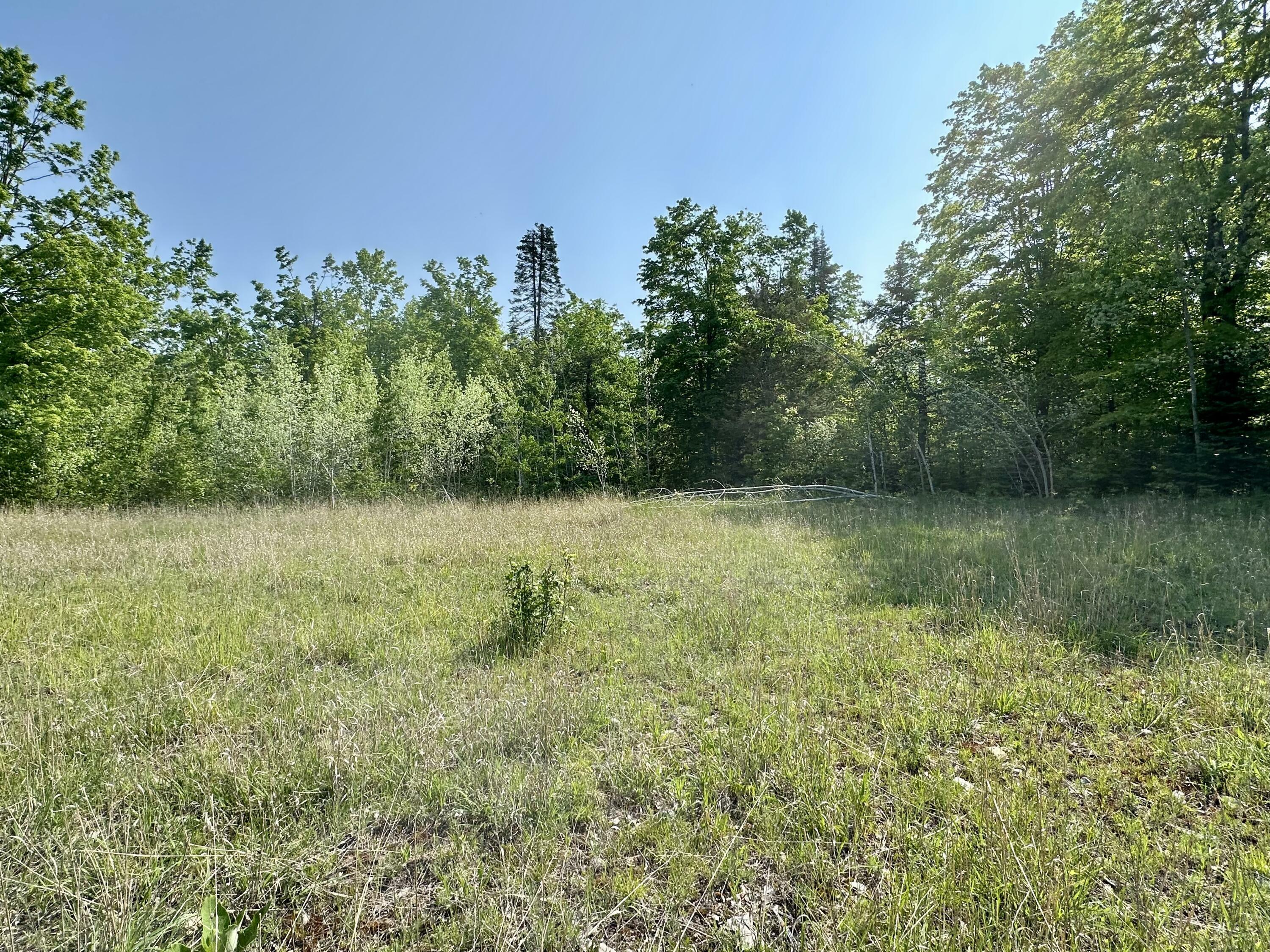 Property Photo: 10948 Partridge Lane MI 49721