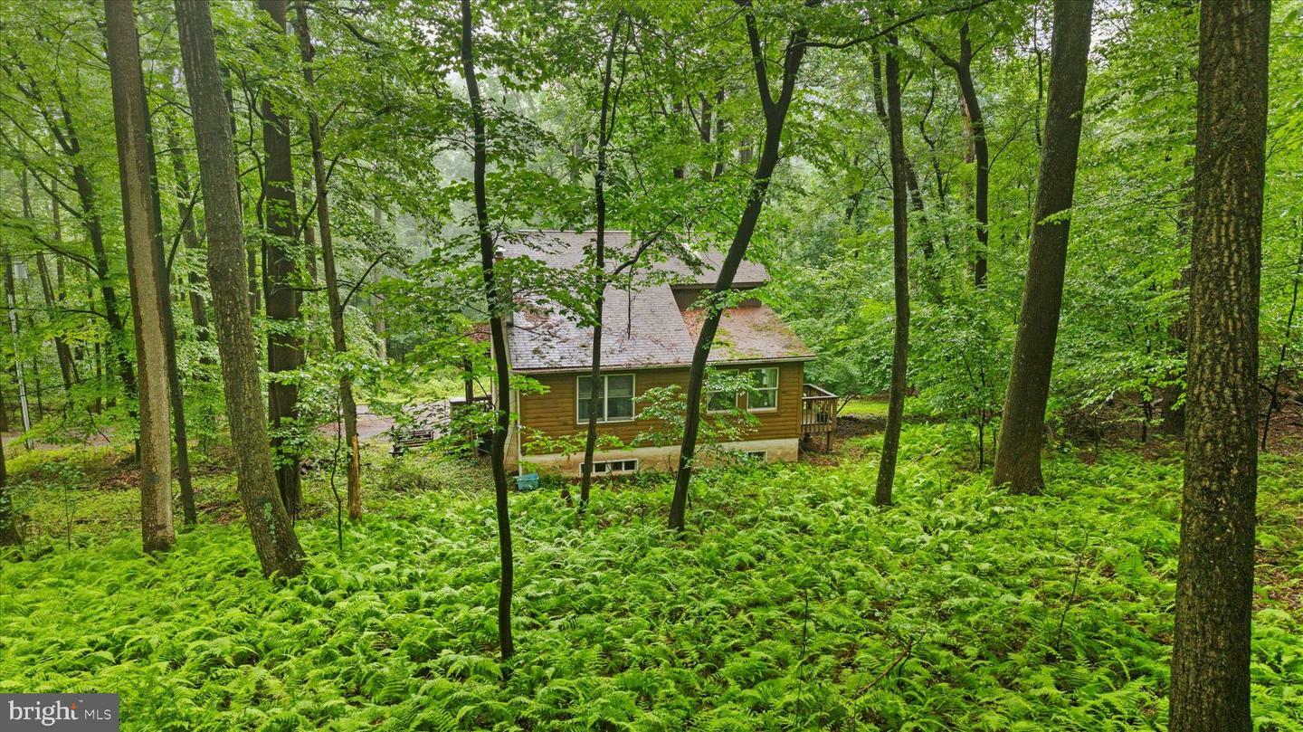 810 Moores Mountain Road  Lewisberry PA 17339 photo