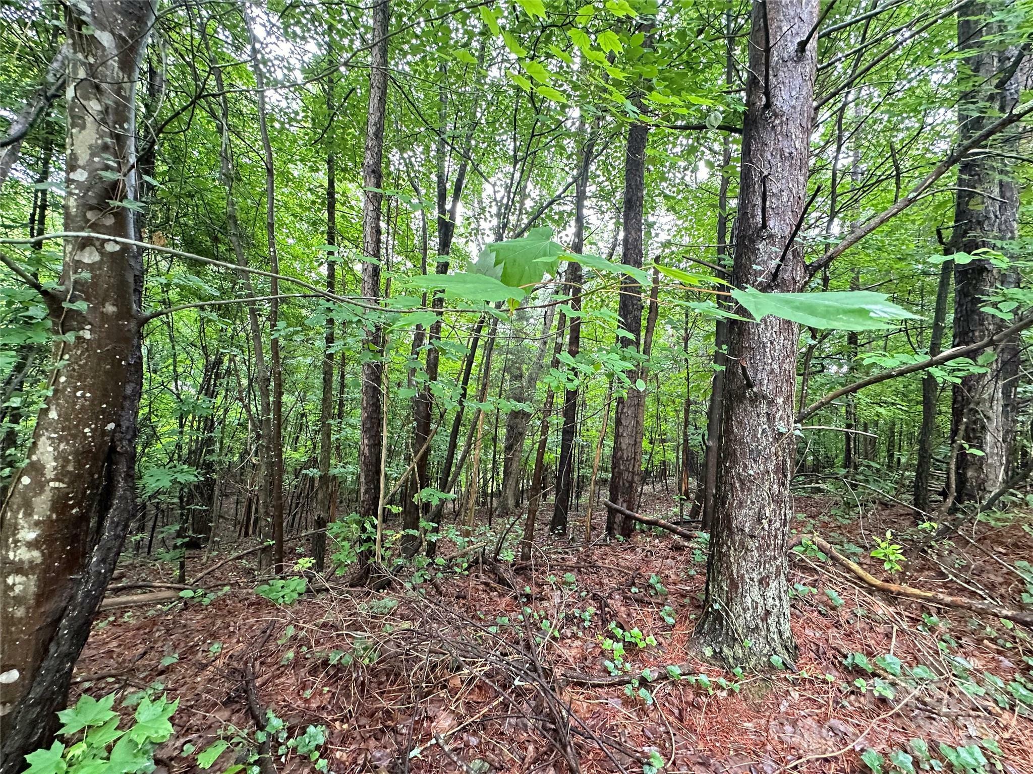 Property Photo: 8900 Hollybrook Lane NC 28227