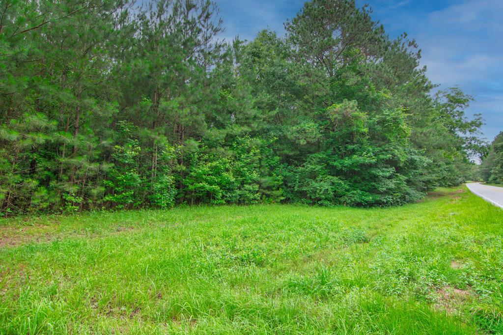 Property Photo:  0 Ga Hwy 0103  GA 31833 