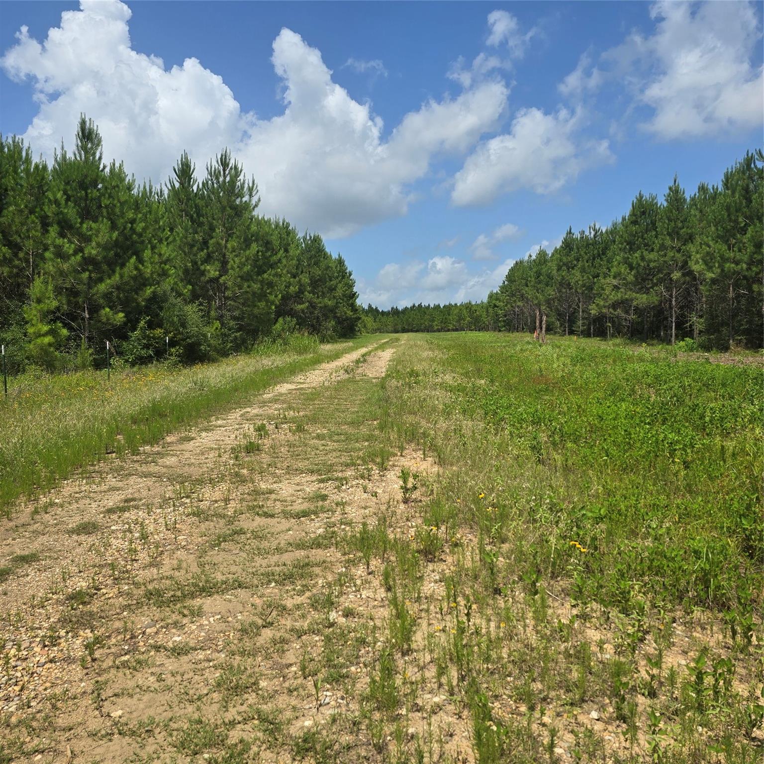 Property Photo: Tbd Hammond Road TX 77351