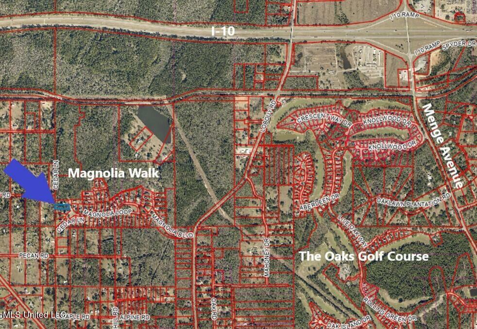 Property Photo: Magnolia Loop MS 39571