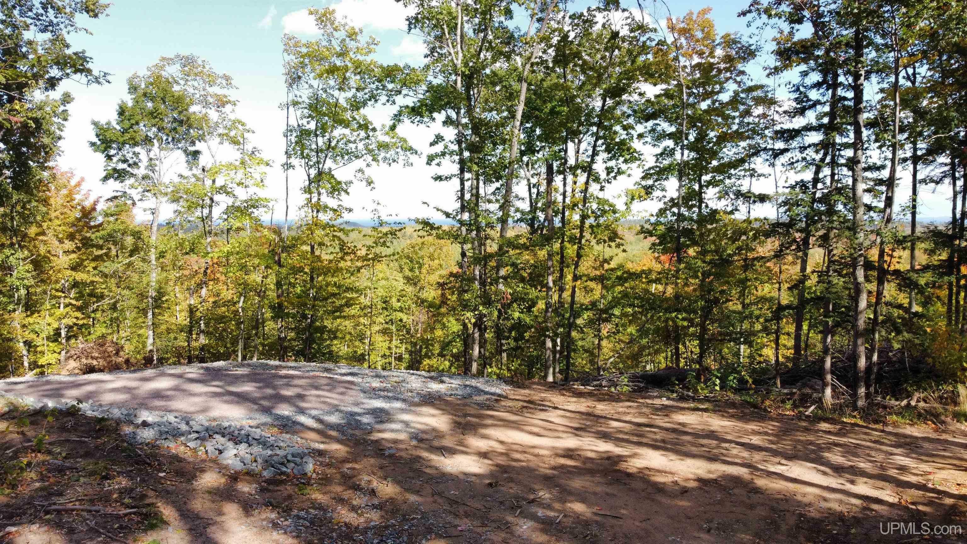 Property Photo: Tbd Neejee Road MI 49866