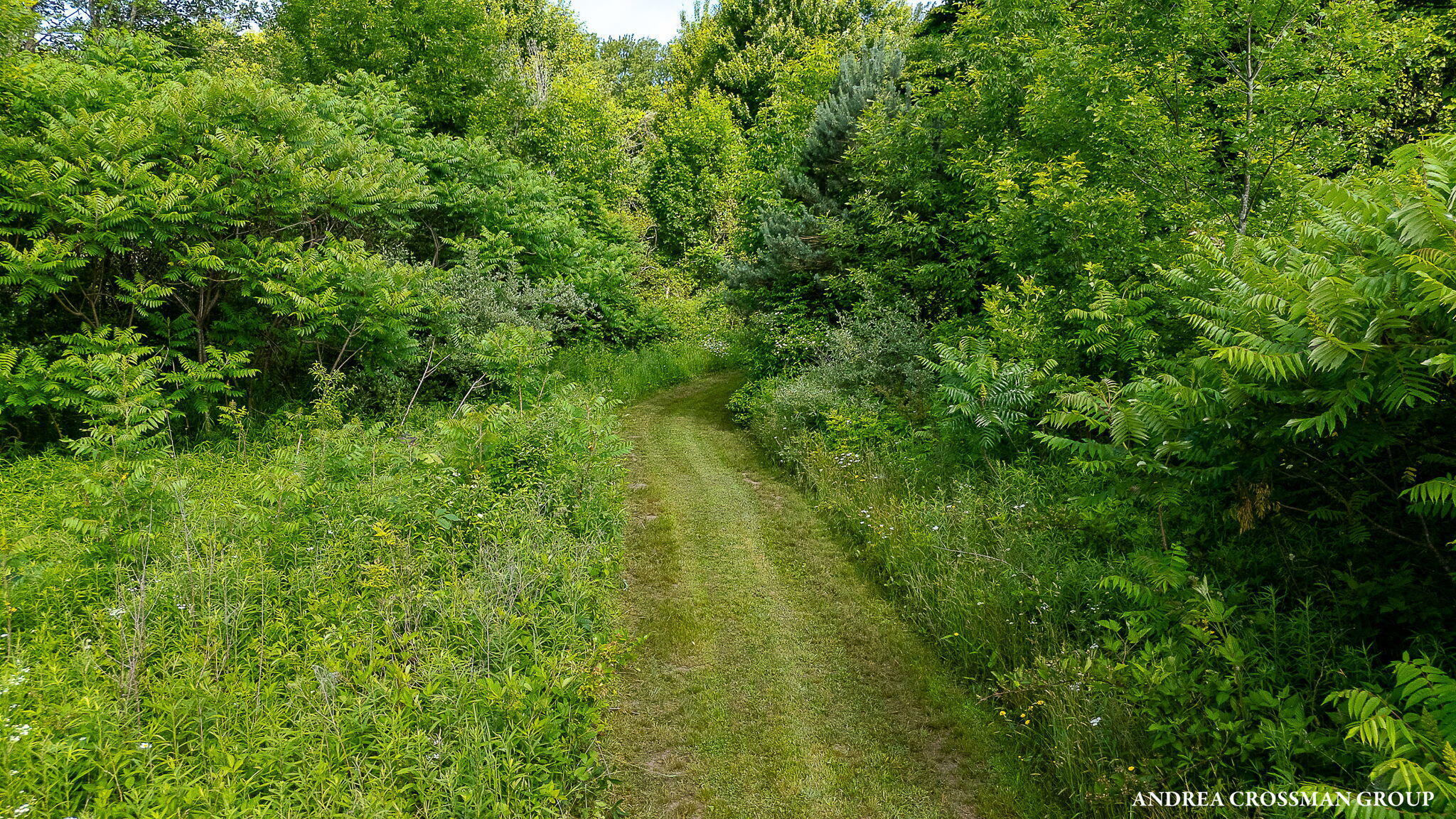 Property Photo: 9325 S Cedar Drive MI 49401