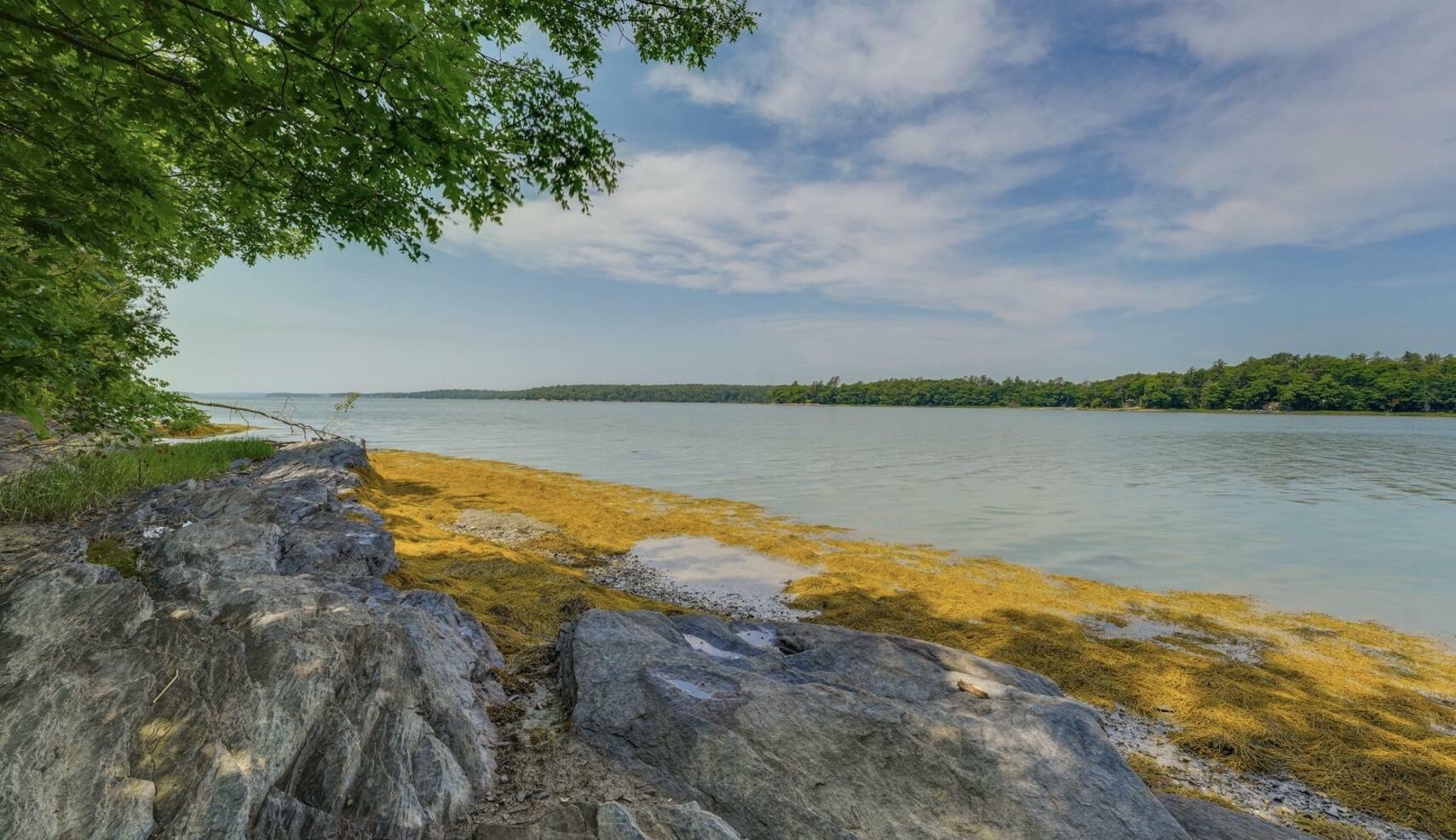 Property Photo: 91 Shore Drive ME 04032