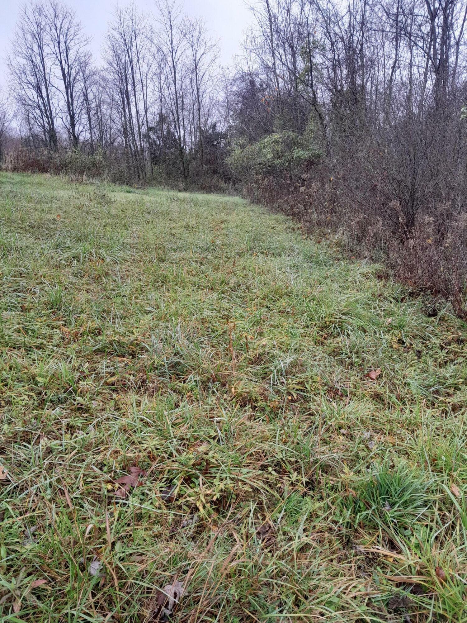 Property Photo: 744 Neave-Milford Road KY 41040