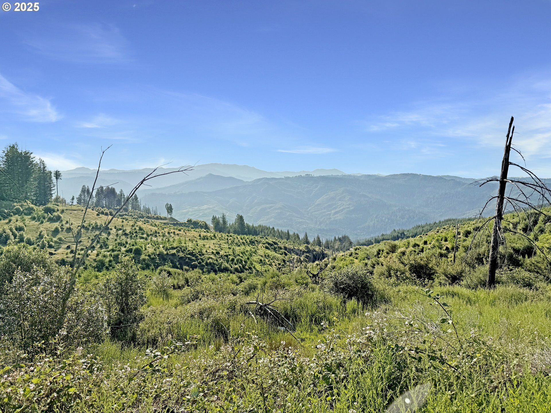Property Photo: 466 Gardner Ridge Rd OR 97415