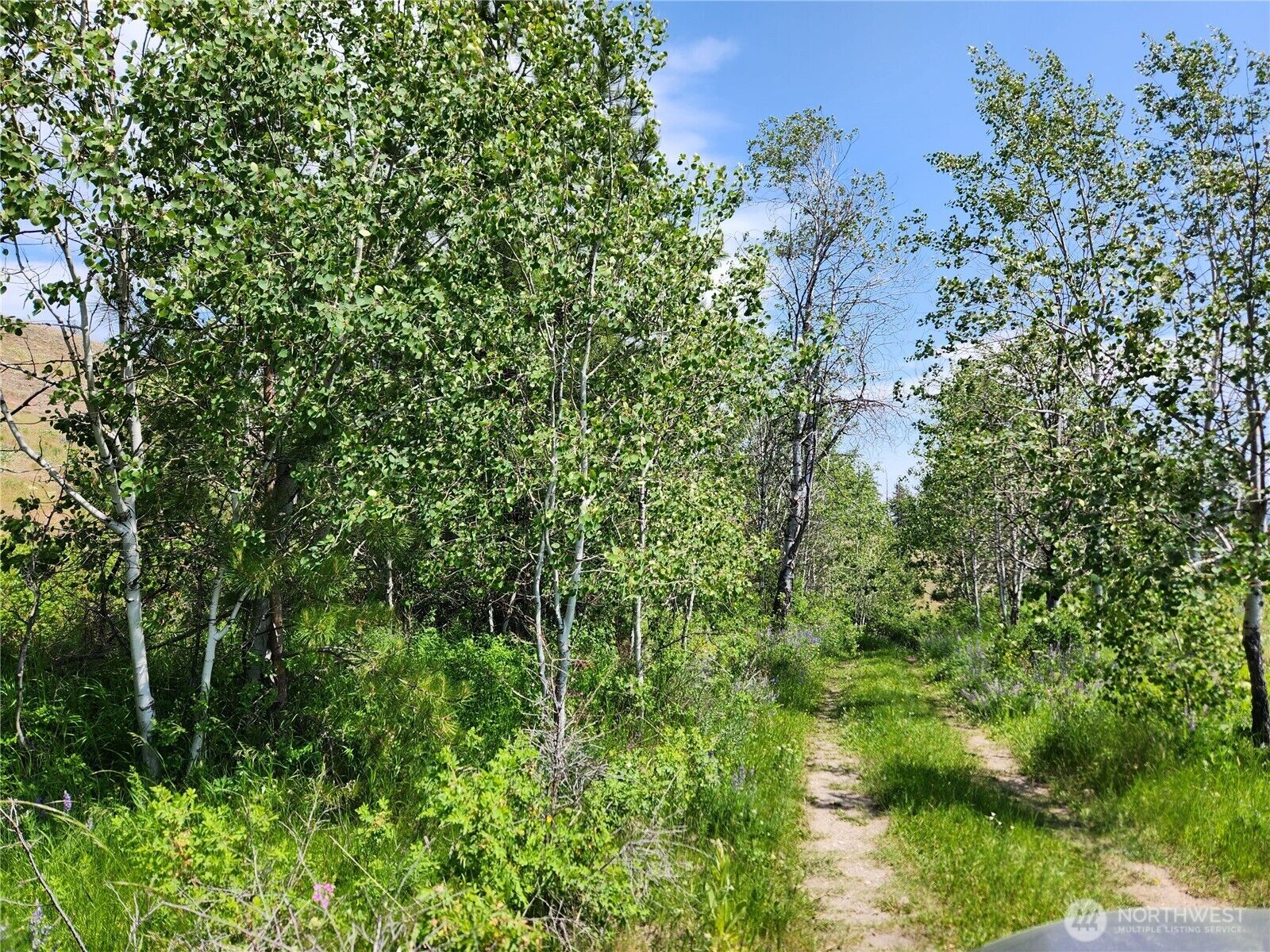 Property Photo: 0 Roundabout Road WA 98859