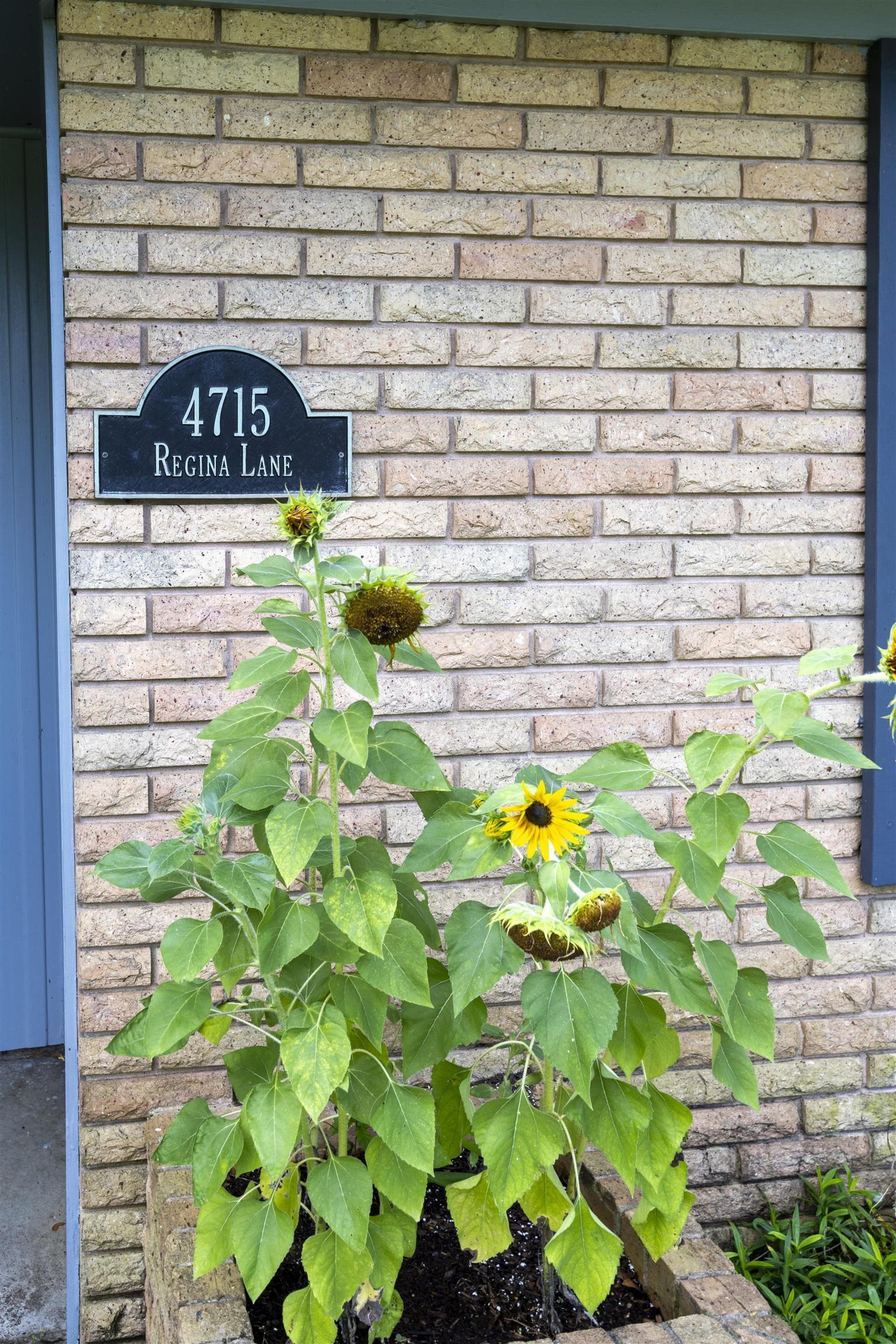 Property Photo: 4715 Regina TX 77706