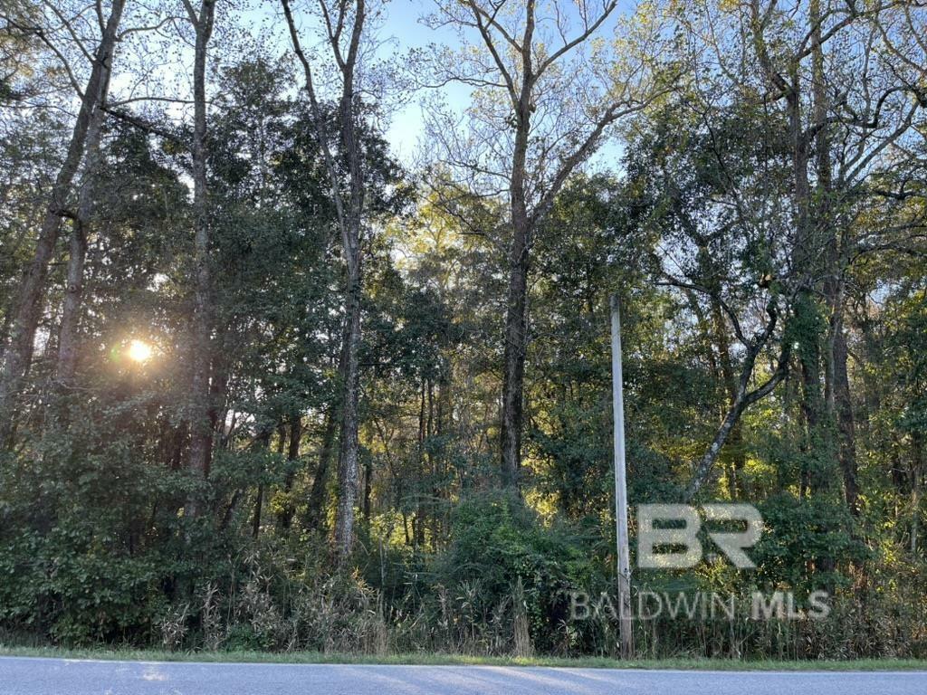 Property Photo: 0 County Road 55 AL 36551