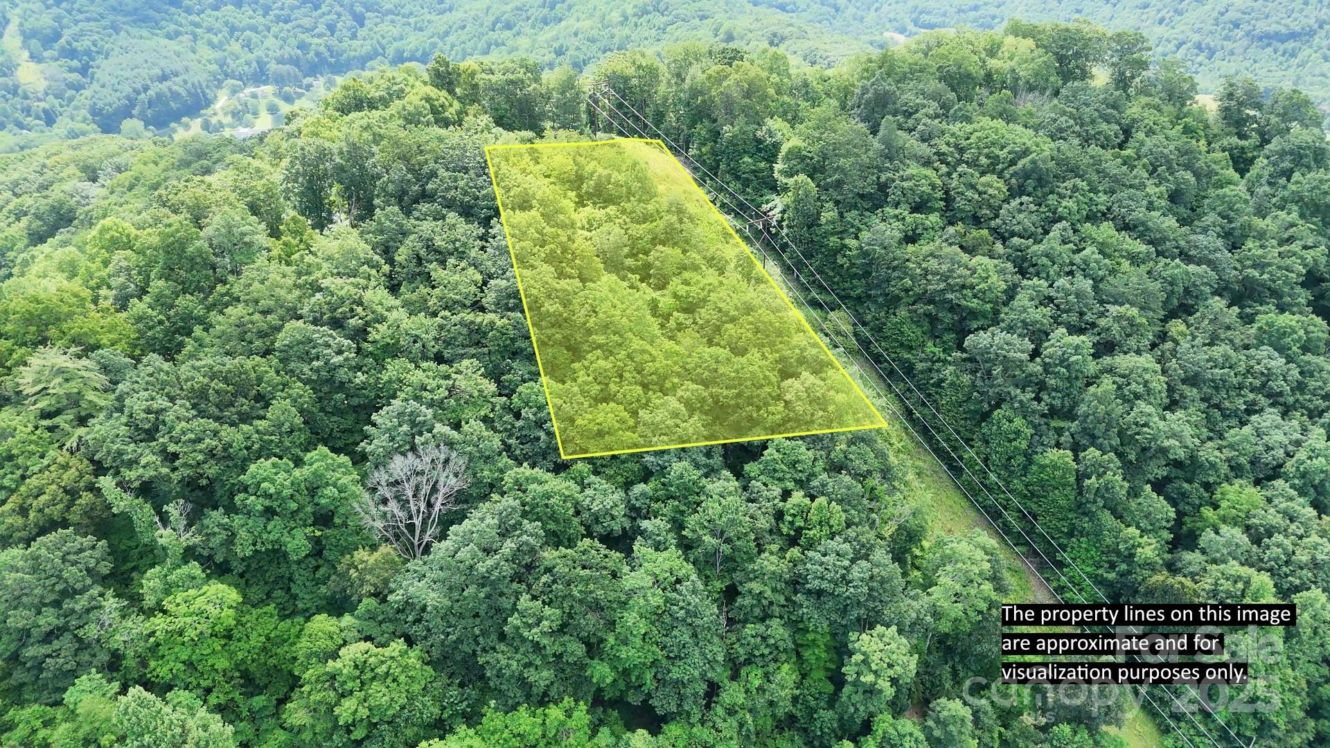 Property Photo:  00 Liner Cove Road 1  NC 28786 