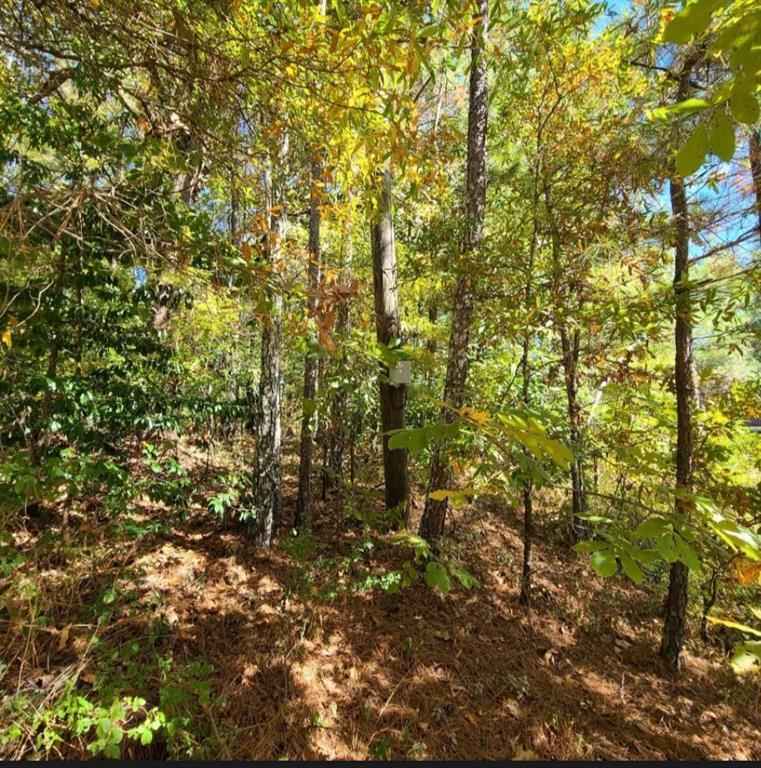 Property Photo: 0 Scarlett Lane GA 30161