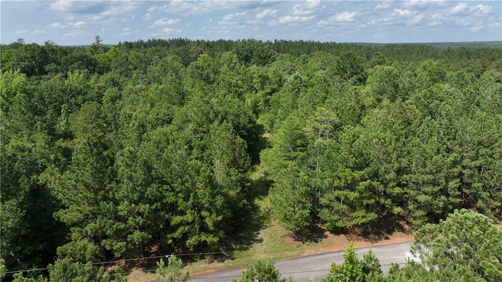 Property Photo: 39B Omaha Drive GA 30635
