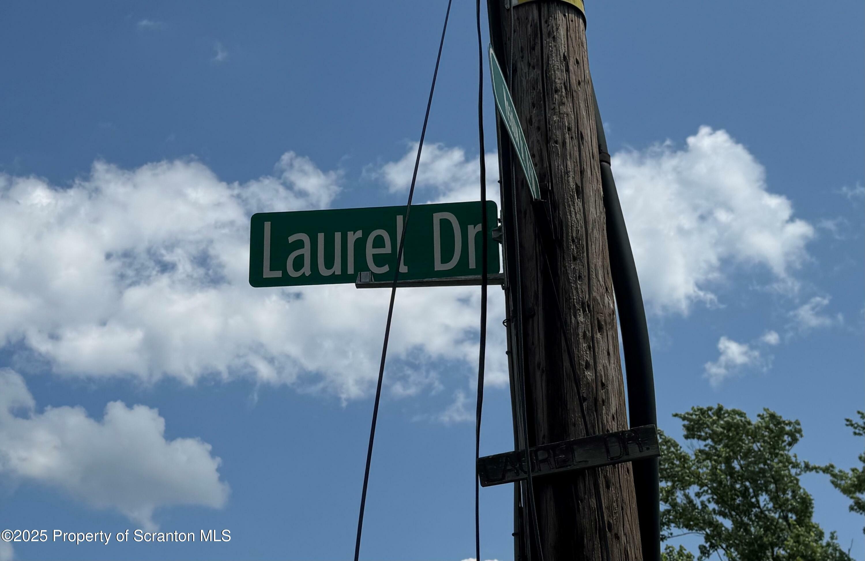 Laurel Drive  Scott Twp PA 18411 photo