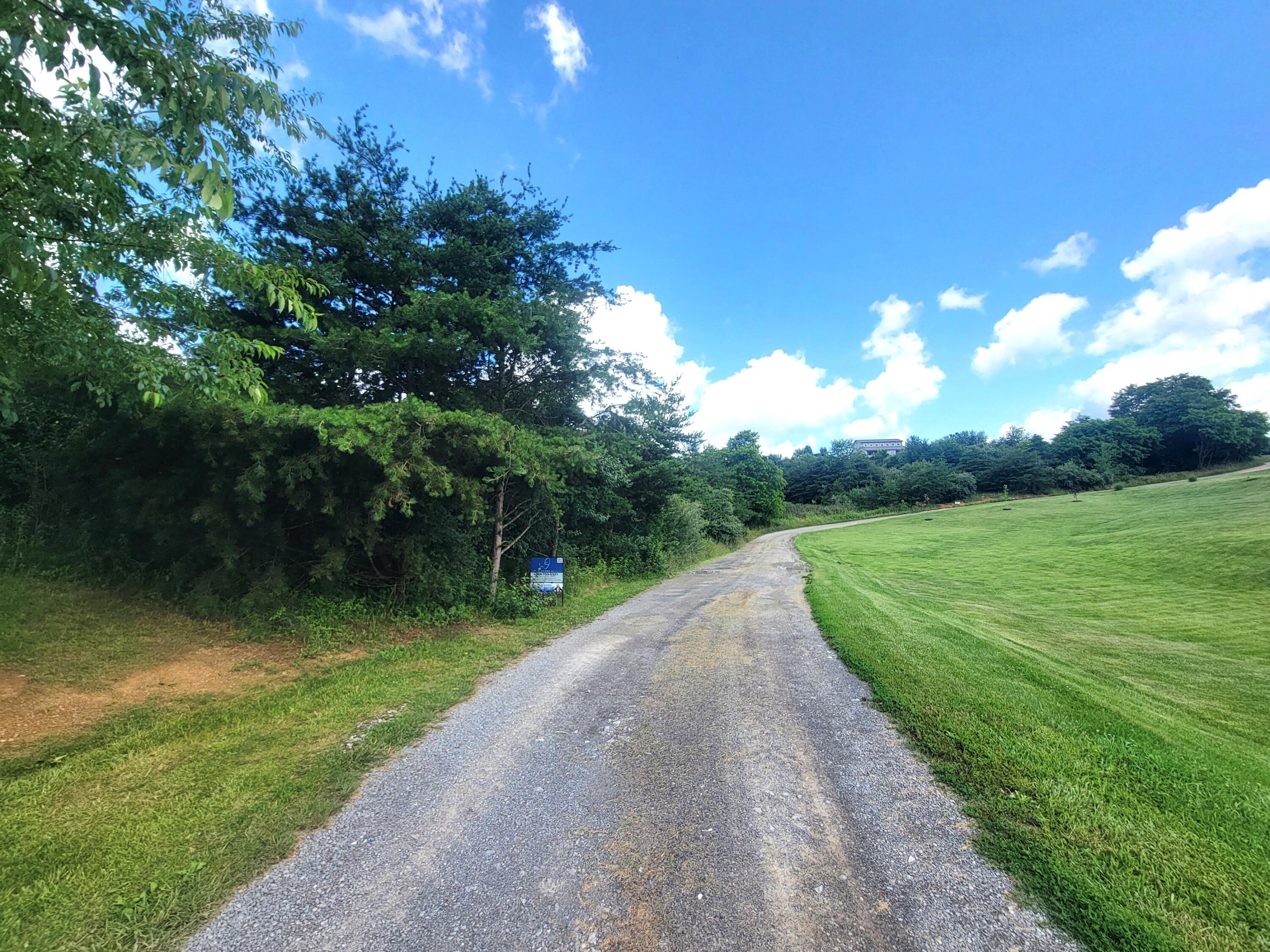 Property Photo: Lot 11 Meadow Ln WV 24963
