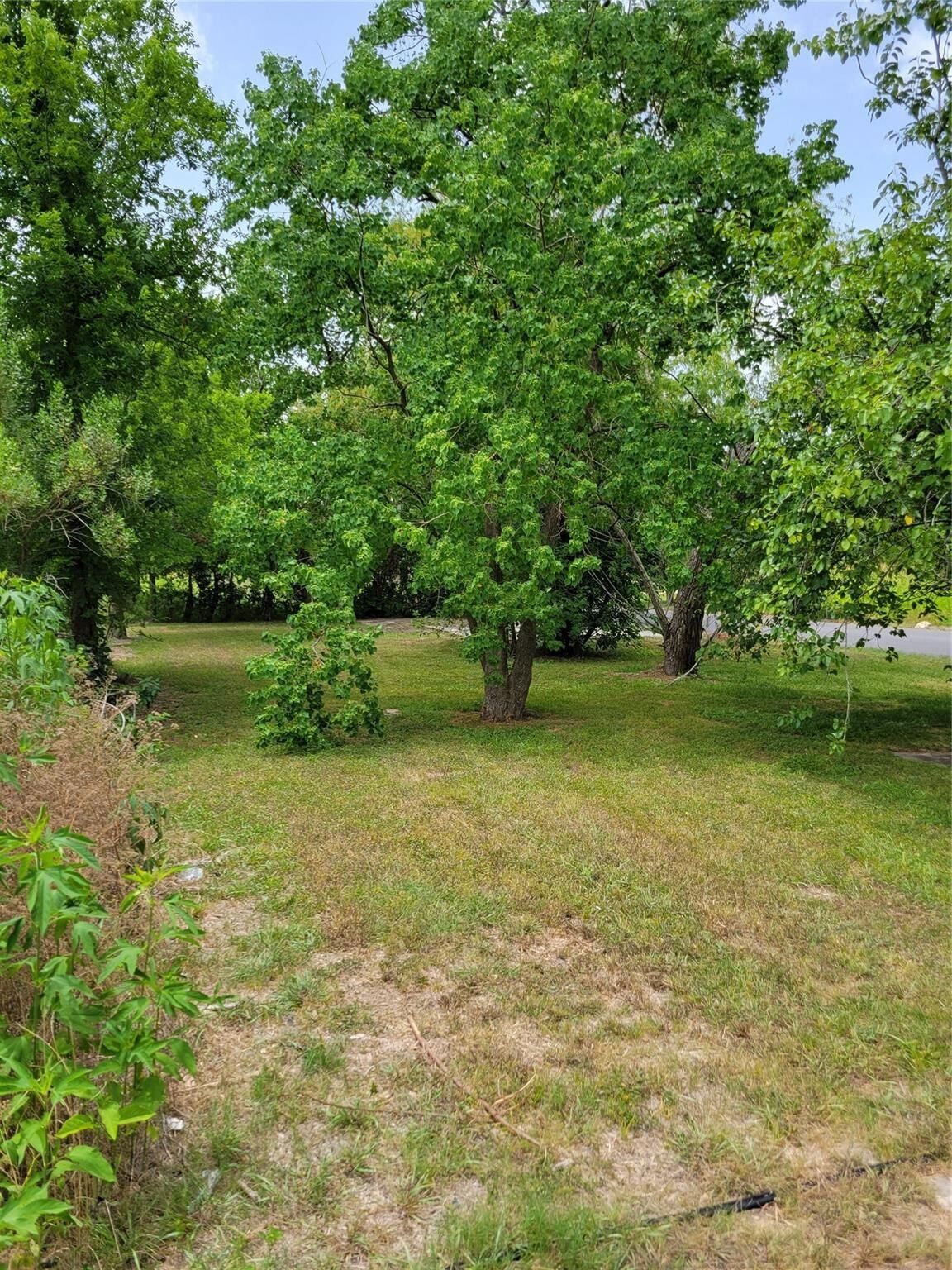 Property Photo:  3206 McIlhenny Street  TX 77004 