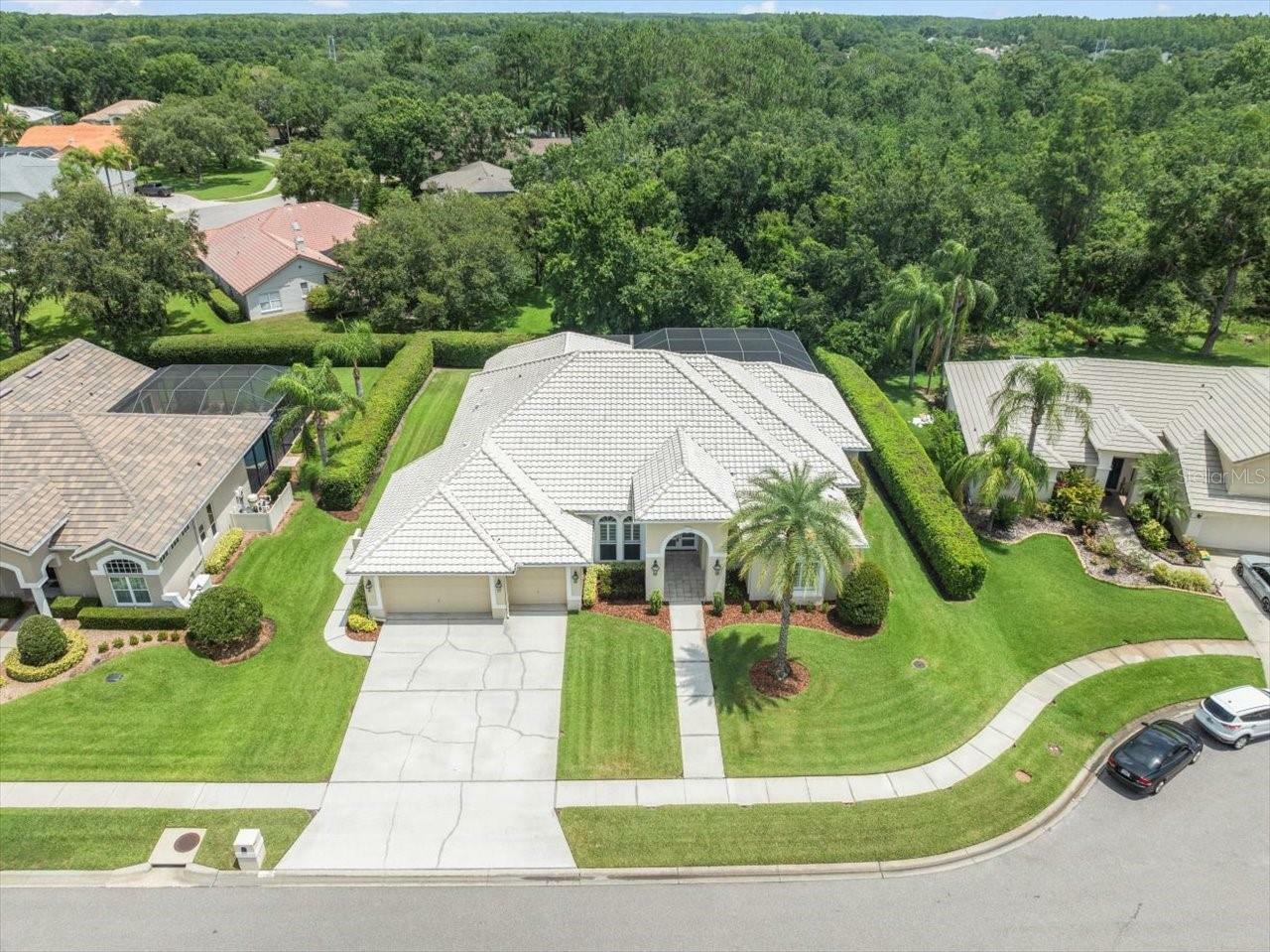 Property Photo: 6905 Arabian Road FL 33556