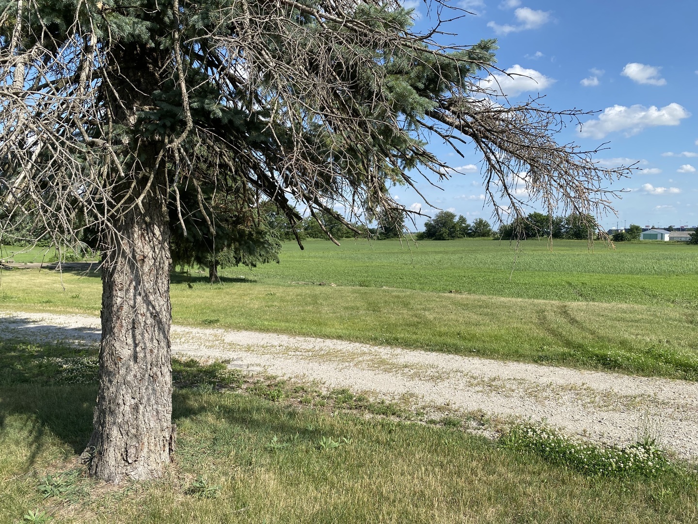 Property Photo: 2510 S Chicago Street IL 60436