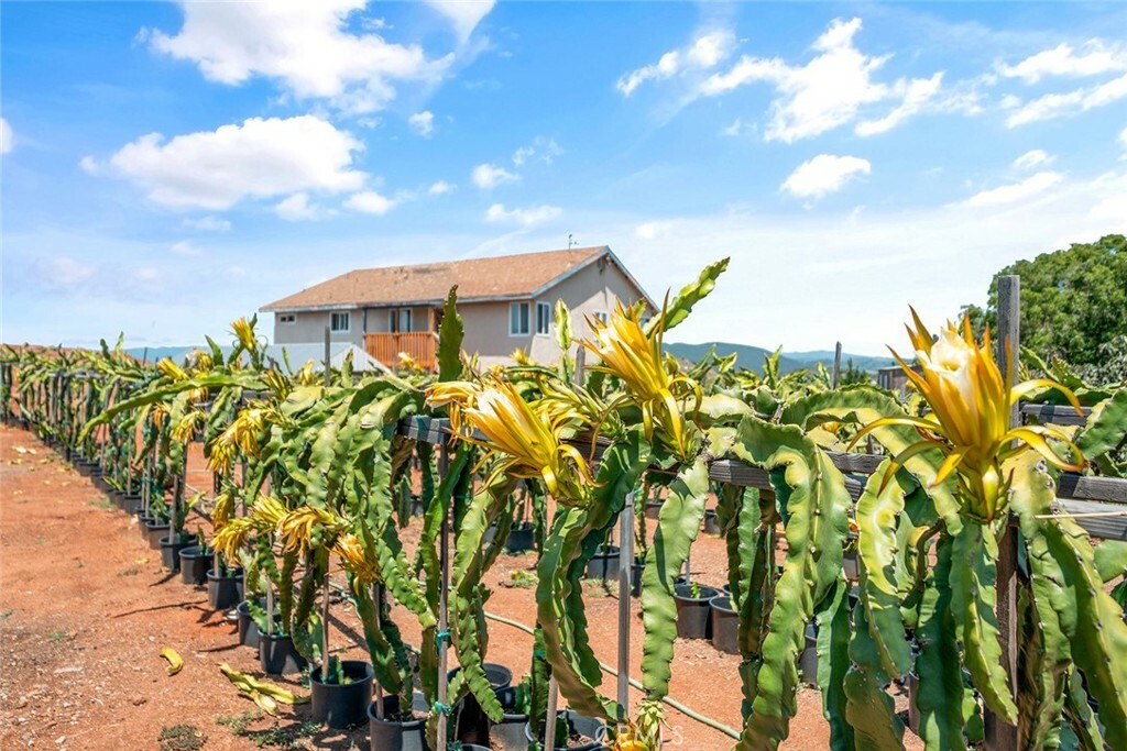 Property Photo: 1996 Rainbow Glen Road CA 92028