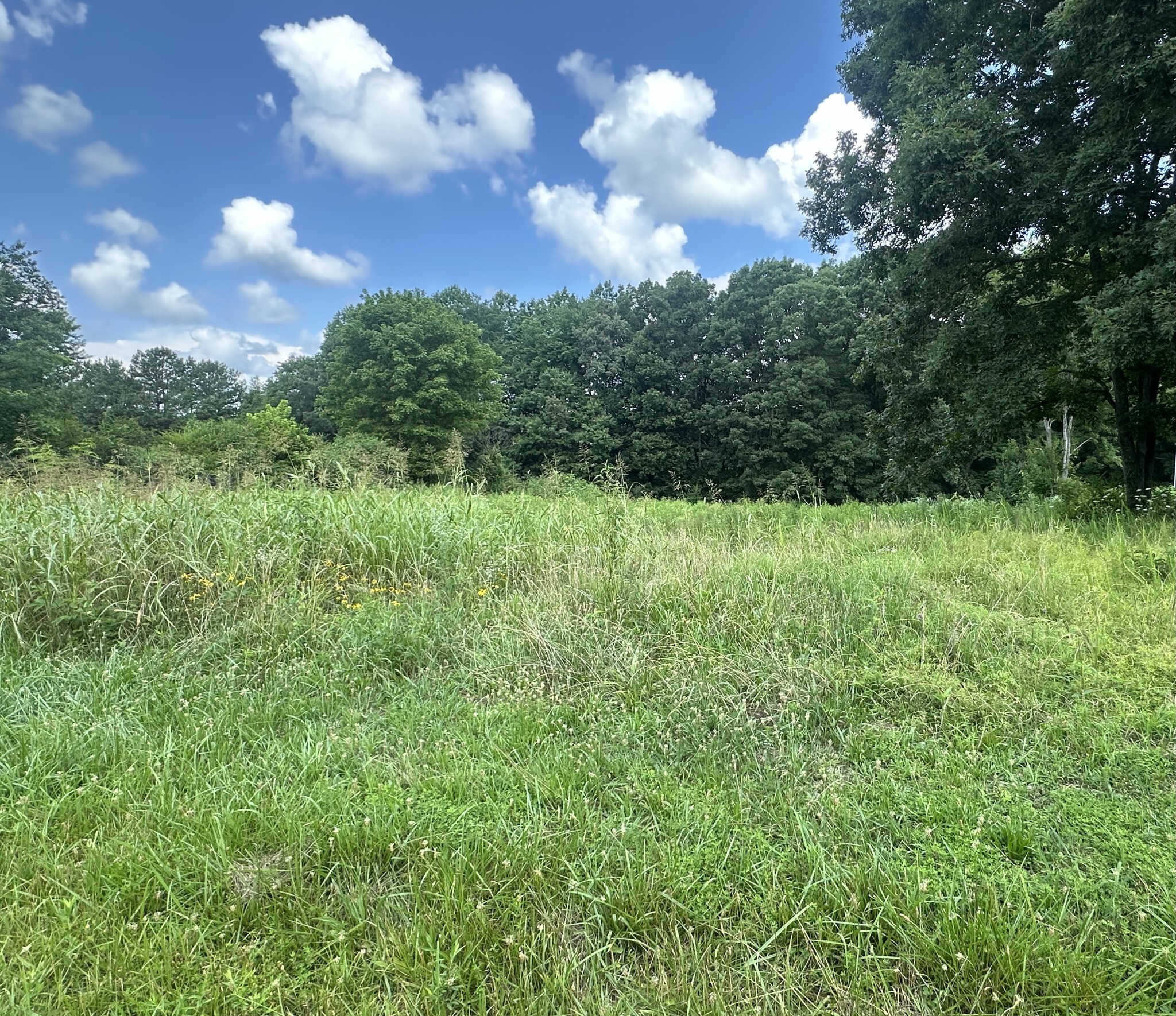 Property Photo: 0 White Oak Dr TN 38468