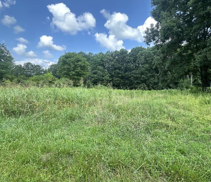 0 White Oak Dr  Leoma TN 38468 photo