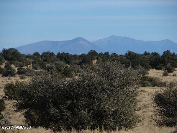 Property Photo:  7420 Mineral Wells Road  AZ 86046 