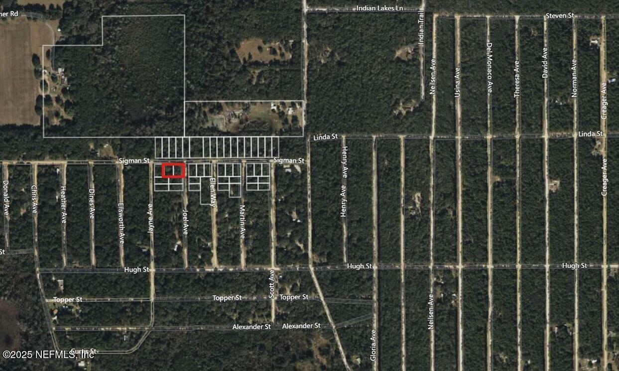 Property Photo: 0 Sigman Street FL 32140