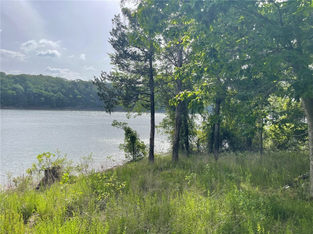 Property Photo:  28190 Willow Lane  MO 65641 
