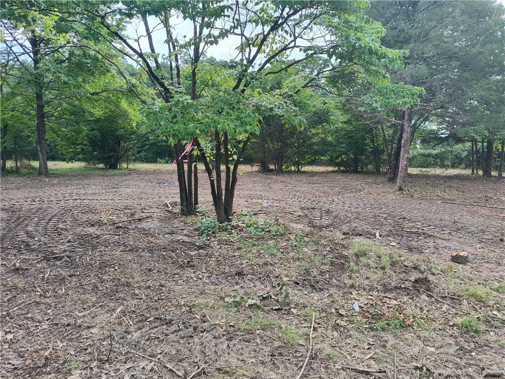 Property Photo: Taylor Barnett Road AR 72732