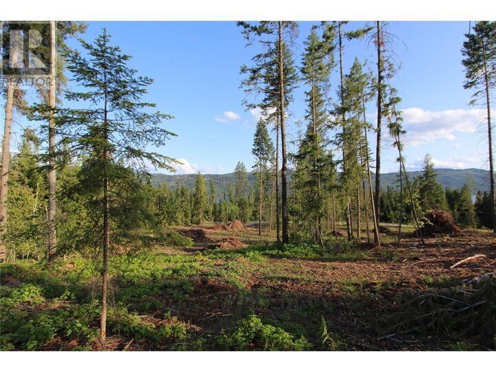 Property Photo:  Pcl Z Squilax-Anglemont Road  BC V0E 1M8 