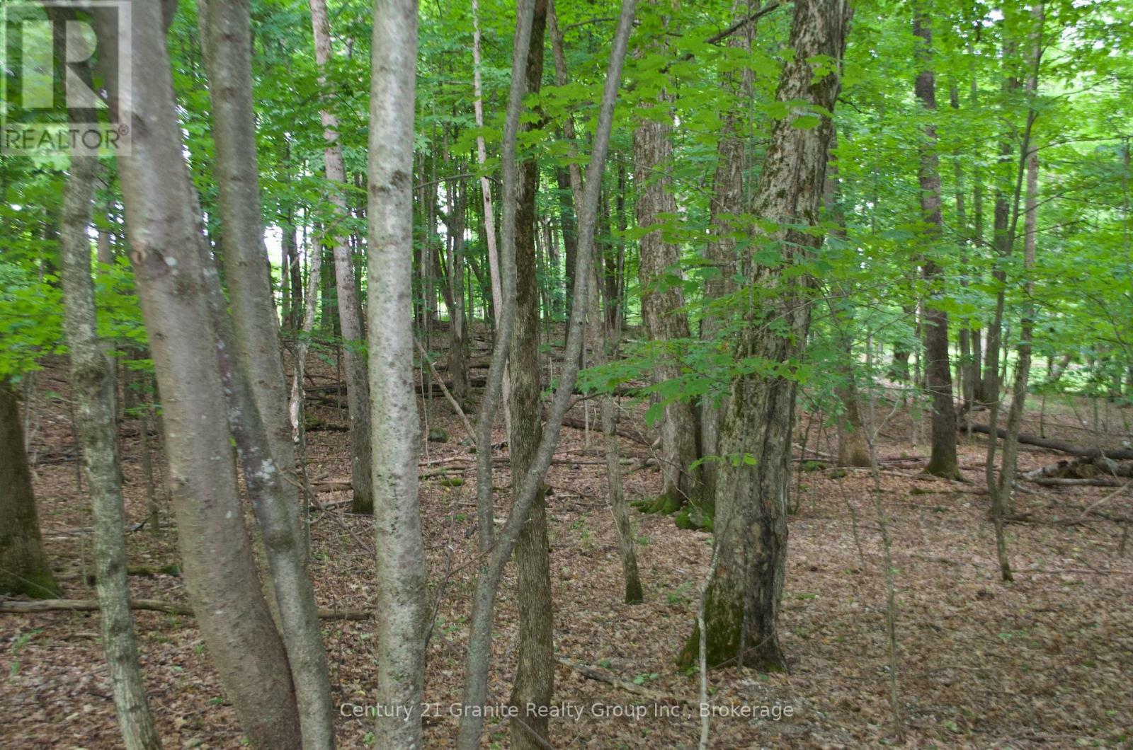 Property Photo:  Lot 7 Ridgeview Road  ON K0M 1S0 