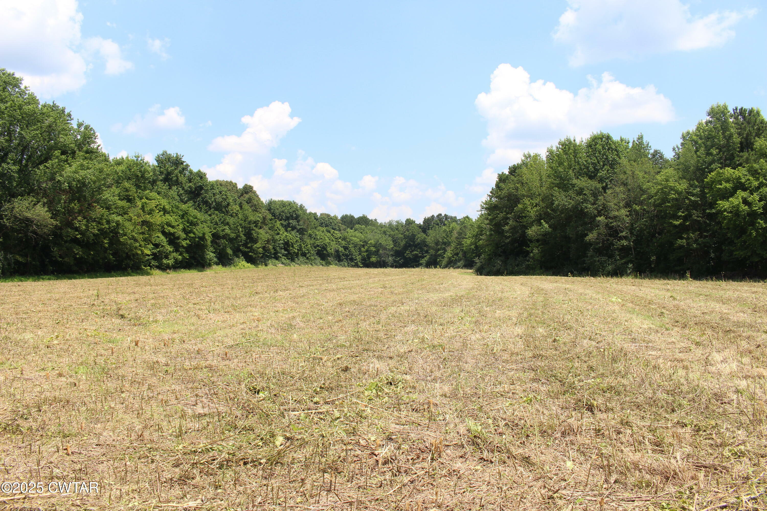Property Photo: 0 Wild Valley Lane TN 38305