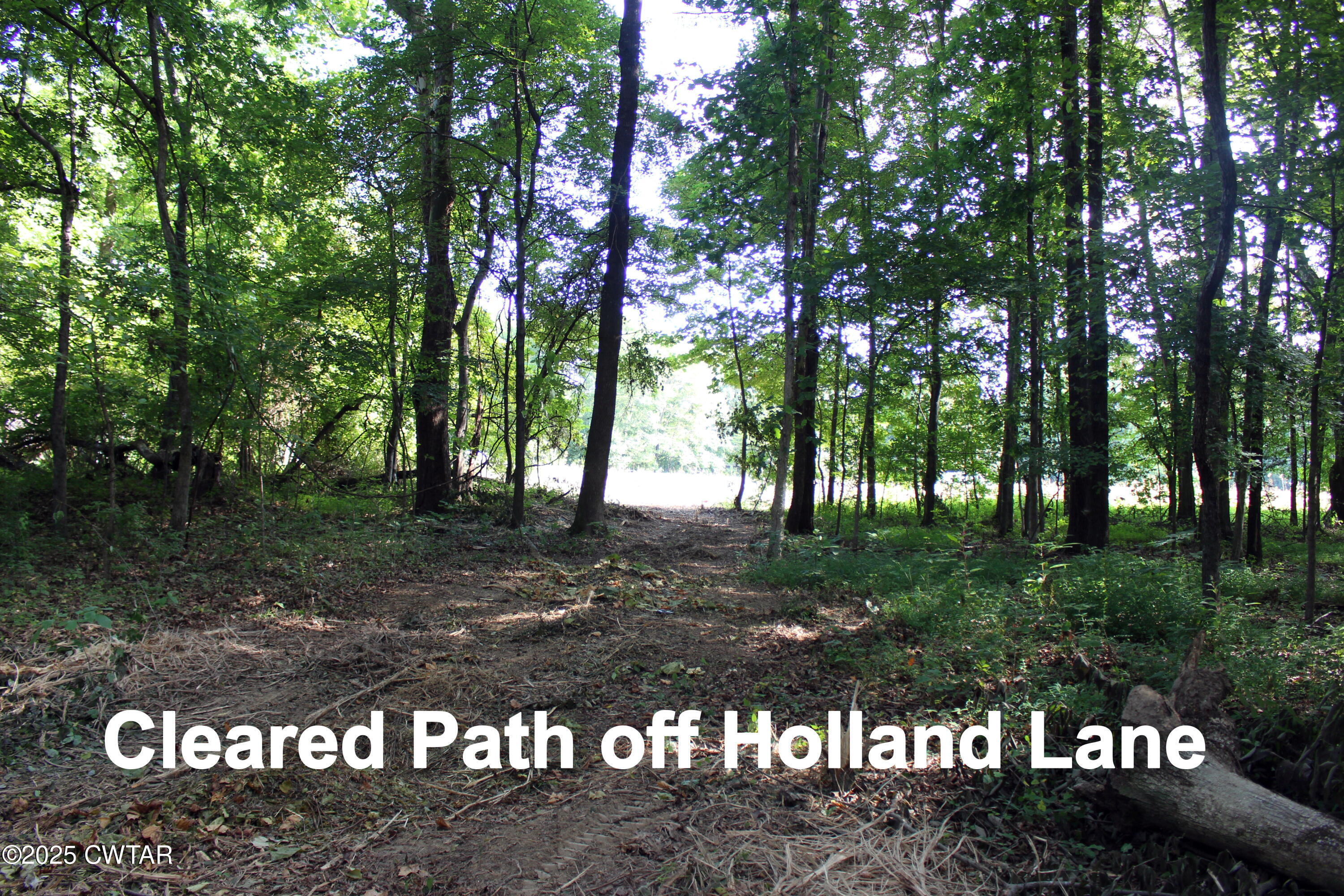 Property Photo: 0 Wild Valley Lane TN 38305